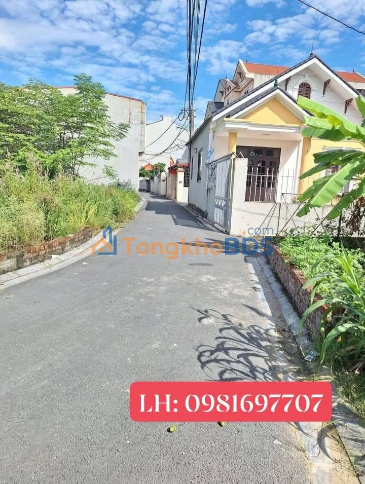 Đất Bắc Hồng Đông Anh 59m² giá 3 tỷ - Đường ô tô vào đất
