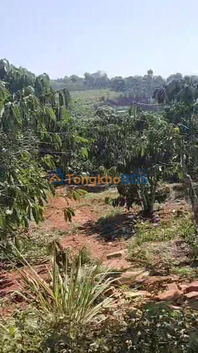 Need More Local Details