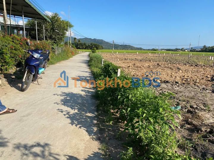 Đất nền Ninh Hòa 101m² 3xx triệu - Sổ đỏ chính chủ