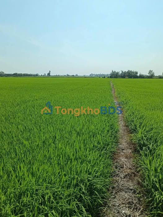 Đất nền Mỹ Đức Châu Phú 16.340m² 2,61 tỷ - Sổ đỏ chính chủ