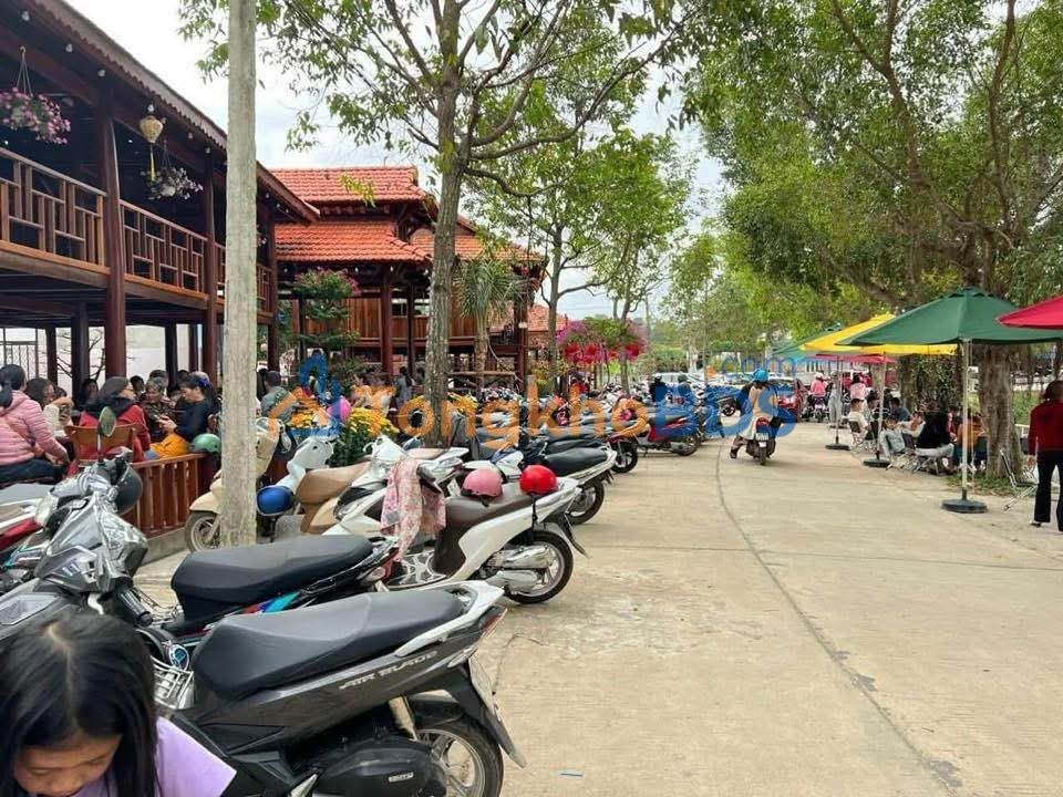 Đất nền Cư Jút Đắk Nông 551m²/3 tỷ - Sổ đỏ chính chủ