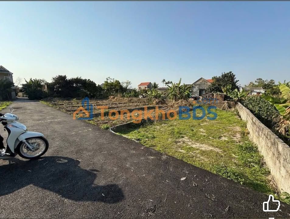 Đất nền Dương Kinh 98m² 9xx triệu - Sổ đỏ chính chủ sẵn