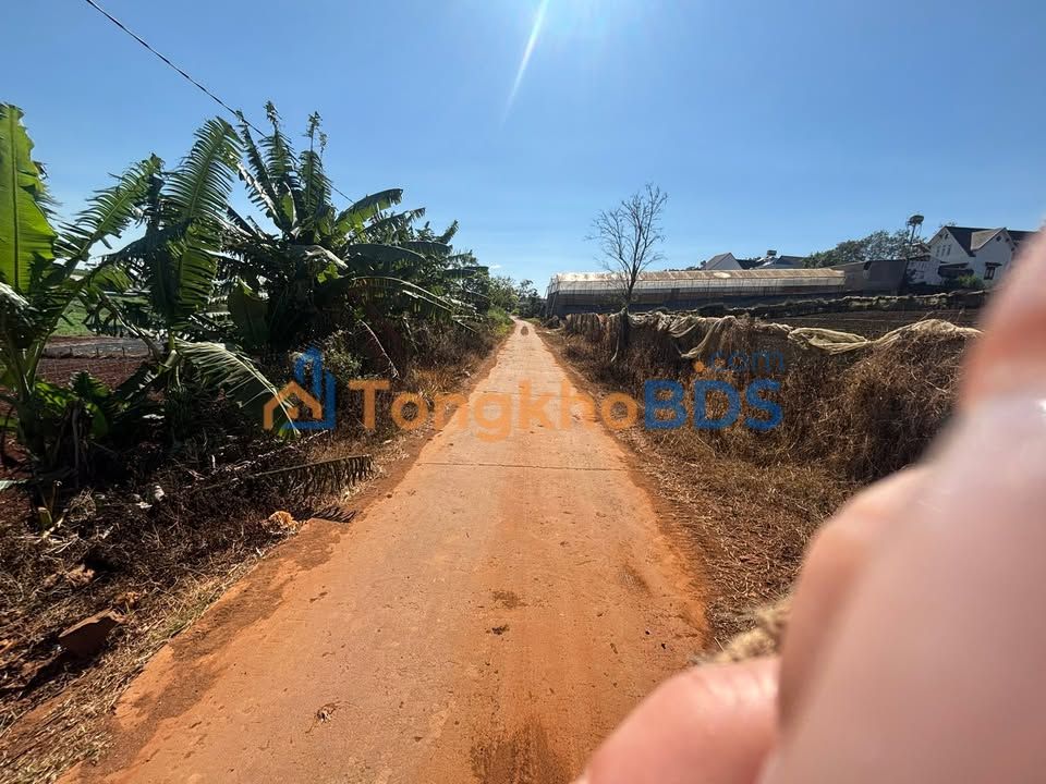 Đất nền Tu Tra Đơn Dương 1440m² - Sổ đỏ chính chủ