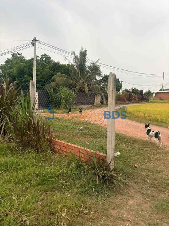 Đất vườn An Ninh Đông Long An 1300m² giá 2.2 tỷ - Chính chủ bán