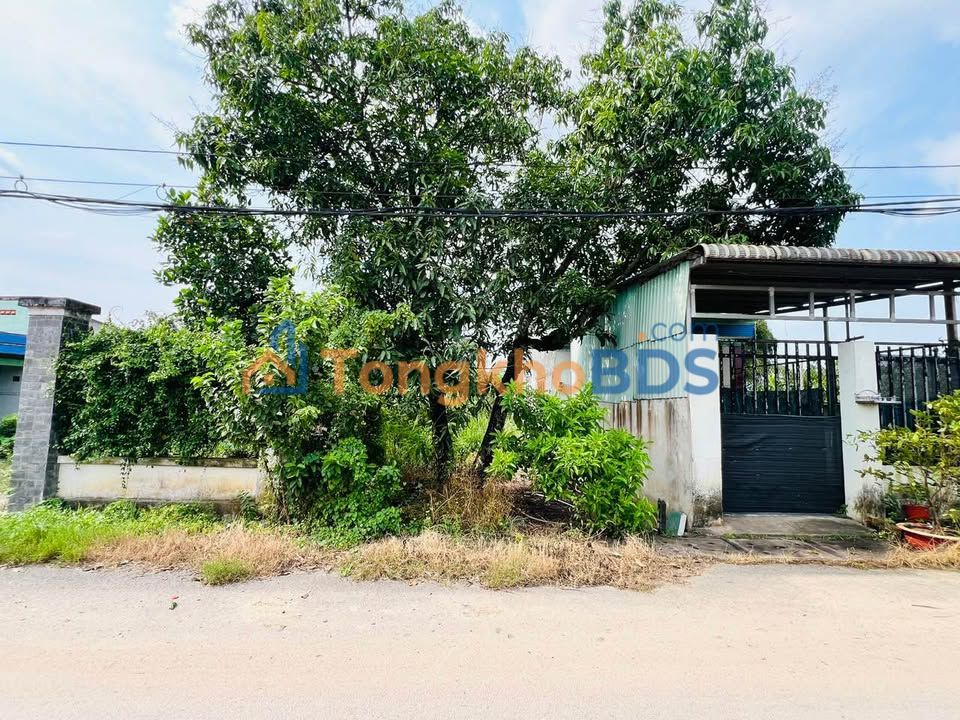 Đất nền Giồng Cát Tân Phú Trung 146m² 2,9 tỷ - Sổ đỏ chính chủ