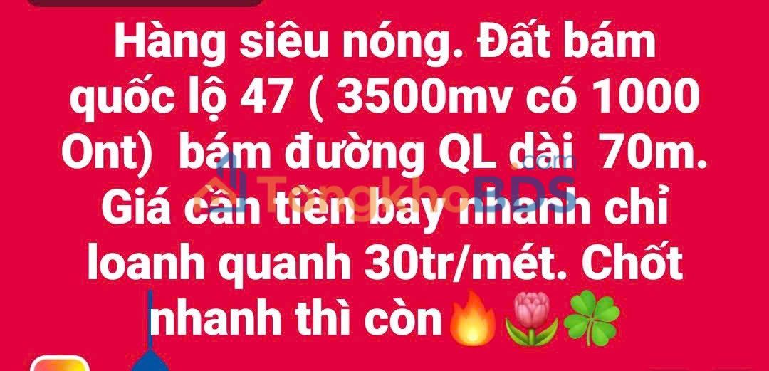 Đất Thường Xuân 3.500m² 2.1 tỷ - Sổ đỏ chính chủ
