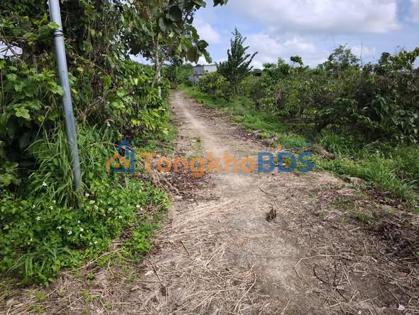 Đất Nền Krông Nô 1ha - Mặt Tiền Bê Tông Lớn, Giá 2.8 Tỷ