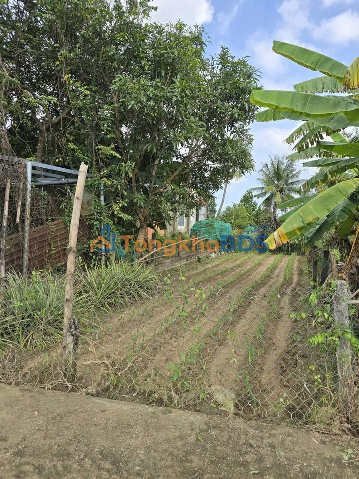 Đất Thái Cẩm Điện Tiến 100m² 1,15 tỷ - Ô tô vào tận nơi