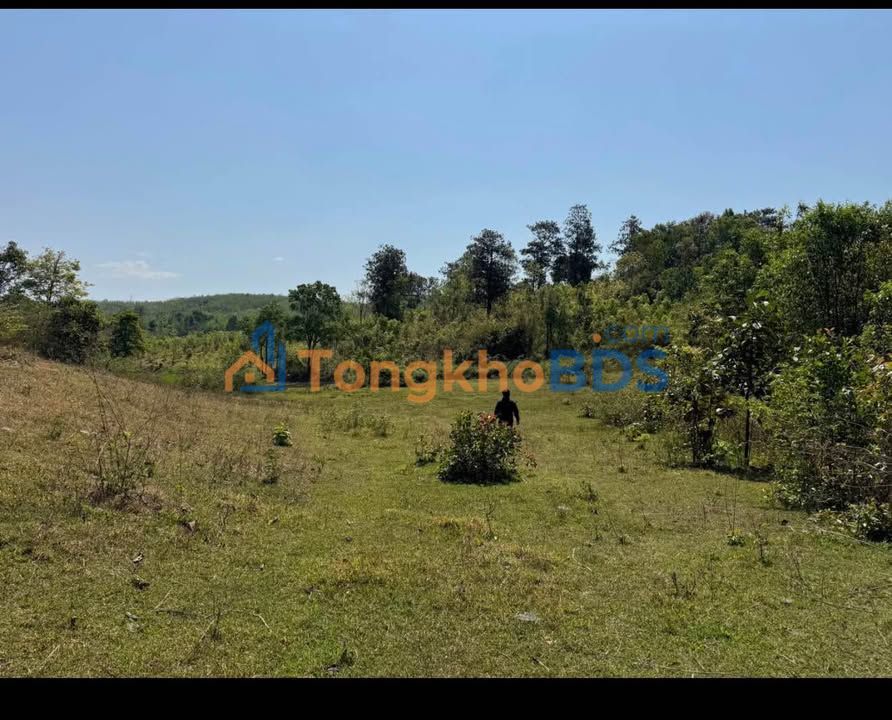 Đất rẫy Đắk Blà Kon Tum 4.500m² 3xx triệu - Tiềm năng tăng giá