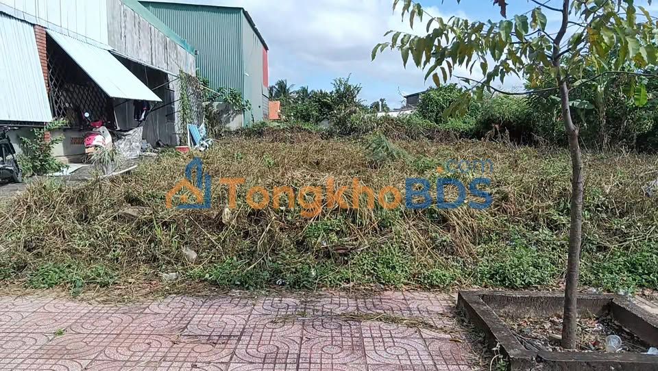 Nhà Mặt Tiền Kinh Doanh Tuy Đức 205m² - Giá Tốt Đầu Tư
