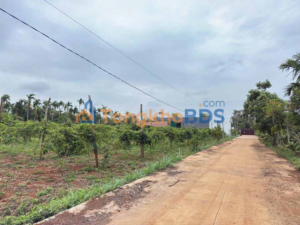 Đất nền Tân Thành 180m² giá 600tr - Xây dựng tự do