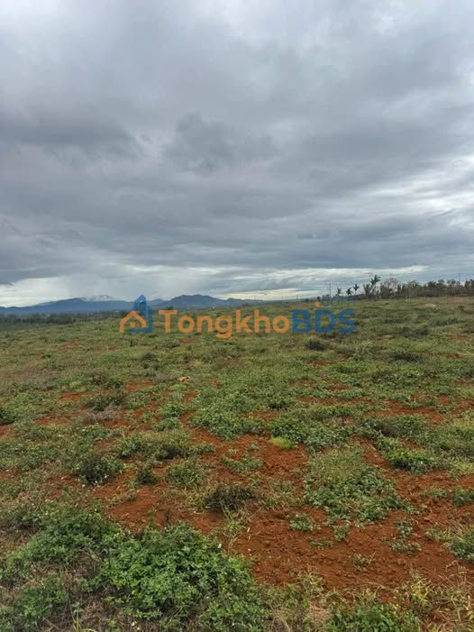 Bán 2.2ha Đất Vườn Đắk Glong - View Đẹp, Giá 3.3 Tỷ