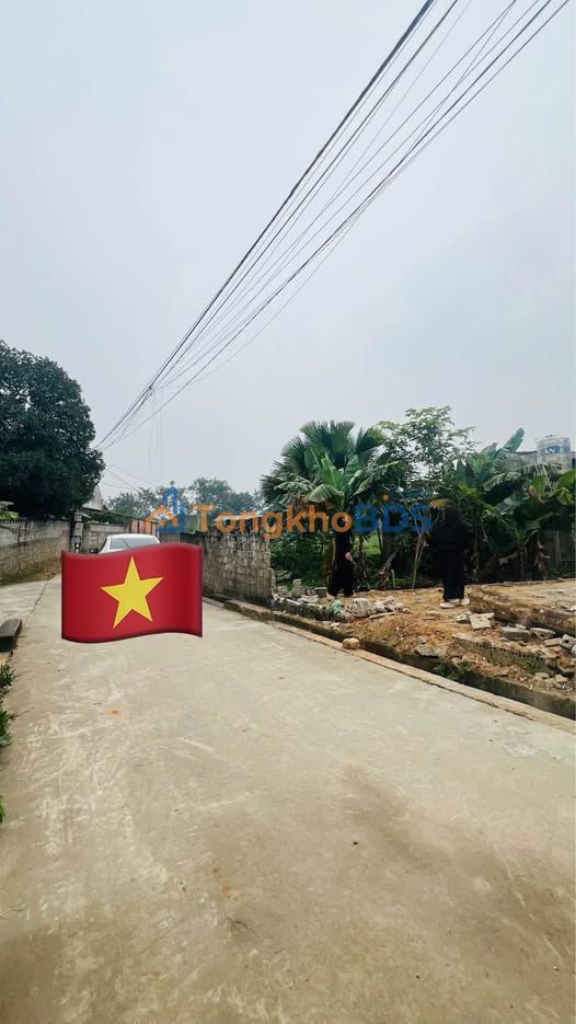 Đất Vĩnh Phúc: 106m² Thổ Cư, Mặt Tiền 6m, Giá Chỉ 9xx Triệu