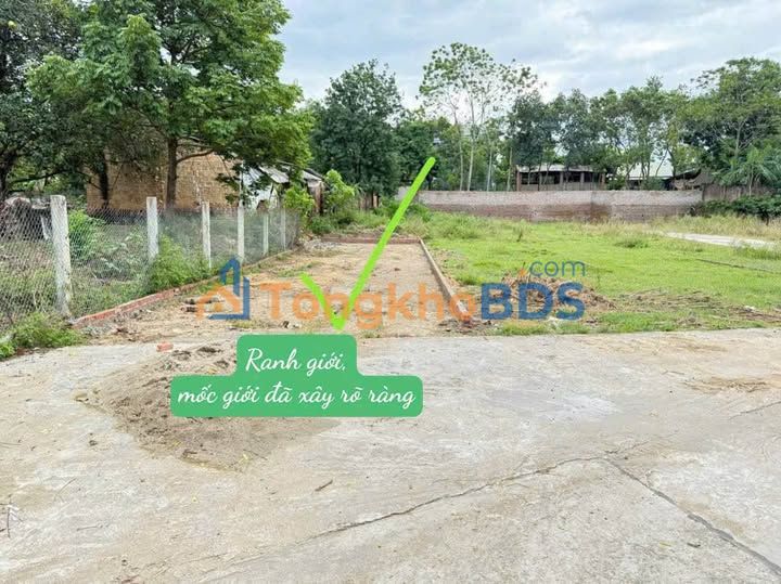 Bán Đất Nền Tam Dương 100m² - Sổ Đỏ Vuông Vắn, Giá Đầu Tư