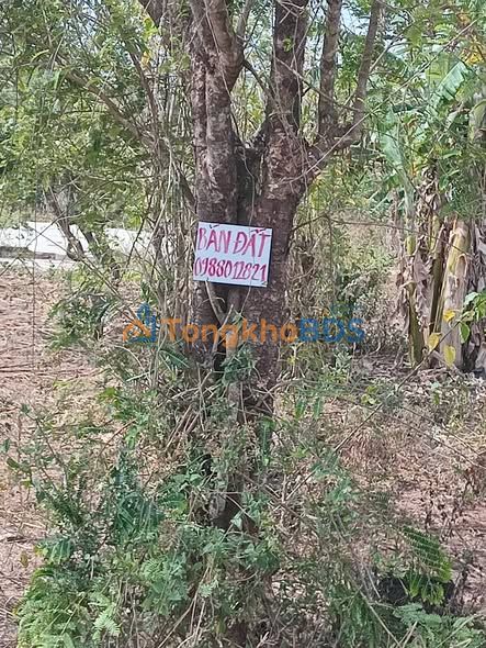 Bán Đất Nền 10.000m² Mặt Tiền Nguyễn Thị Lệ, Krông Nô - Tiềm Năng Đầu Tư Vượt Trội