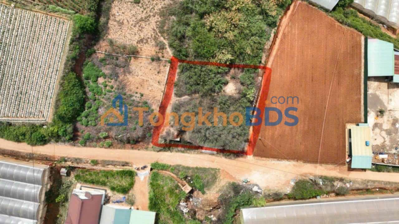 Đất Xuân Thọ Đà Lạt 505m² 4,2 tỷ – Sổ hồng riêng, ô tô vào tận nền