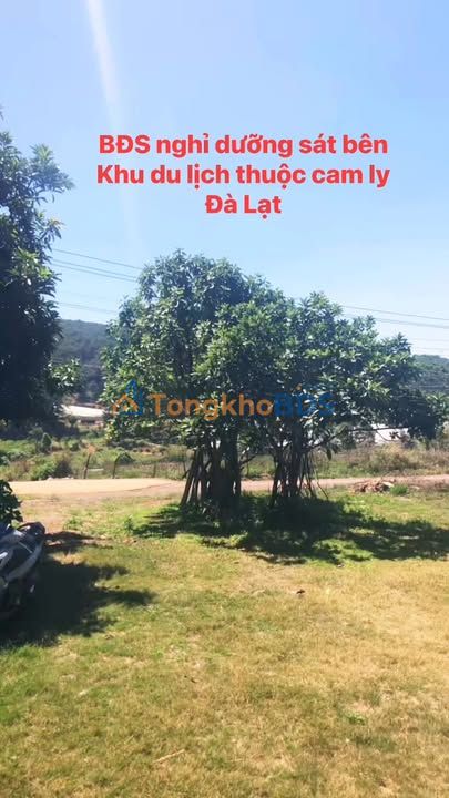 Đất vườn Tà Nung Cam Ly 1.950m² 5.999 tỷ - Sinh thái xanh