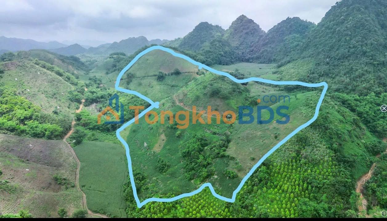 Đất nền Lương Sơn 6.4ha 1.216 tỷ - Sổ đỏ chính chủ