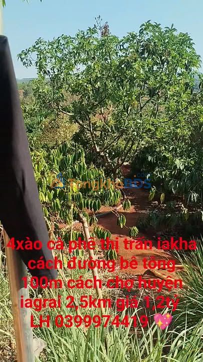 Đất vườn Ia Kha 1440m² 1,2 tỷ - Sinh thái xanh