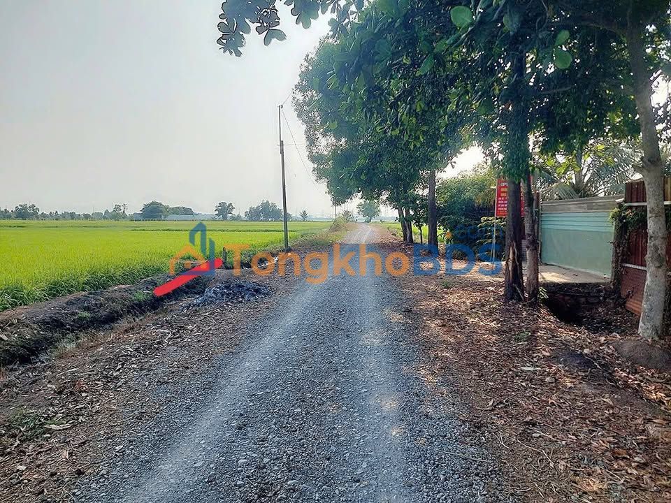 Đất nền Củ Chi 1411m² giá 3,245 tỷ - Pháp lý rõ ràng