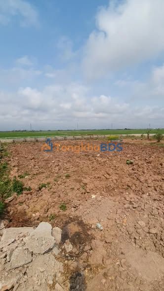 Đất Nghĩa Hưng Nam Định 610m² - Đường to ô tô