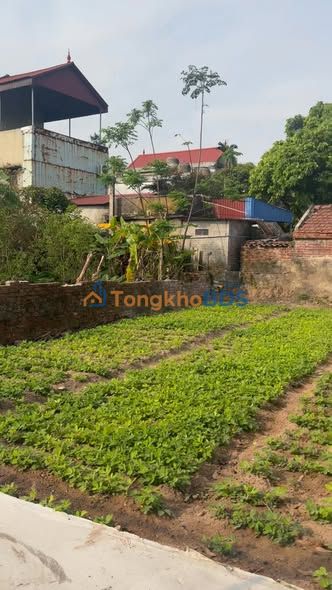 Đất nền Nghĩa Phú 130m² 800 triệu - Sổ đỏ chính chủ