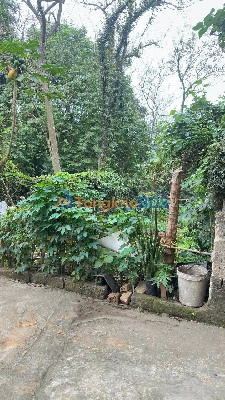 Đất nền Tân Dân Việt Trì 100m2 1,9 tỷ - Sổ đỏ chính chủ