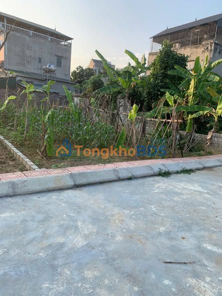 Đất nền Xóm 11 Phúc Lâm 89m² 1 tỷ - Sổ đỏ chính chủ