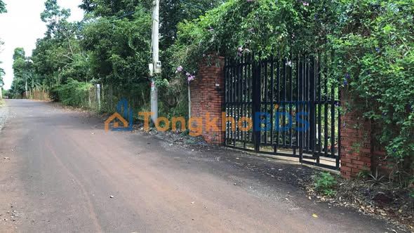 Bán Đất Nền 4314m² Ngãi Giao, Đồng Nai - 2 Mặt Tiền Đẹp