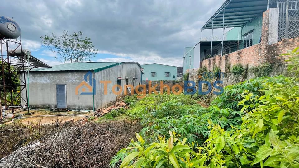 Đất nền Pleiku 4.5x18m 600 triệu - Đất thổ cư 100%