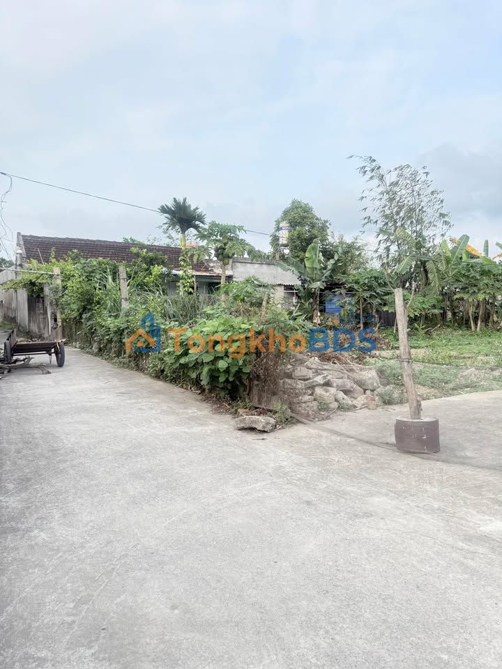 Đất Phạm Ngọc Thạch Nam Định 133m² 4xx triệu - Hạ tầng hoàn thiện