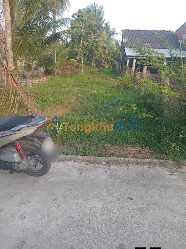 Đất nền An Bình Long Hồ 240m² 420 triệu - Tiềm năng tăng giá