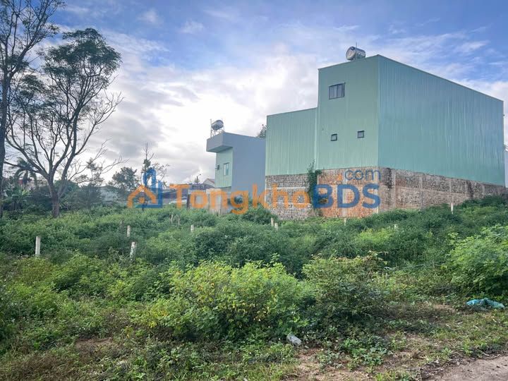 Đất nền Hẻm 203 Lê Đại Hành Quy Nhơn 100m² 1.8 tỷ - Đường to ô tô