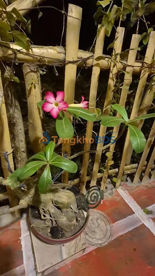 Đất nền Thuận Thành Cần Giuộc 265m² 1,88 tỷ - Sổ đỏ chính chủ