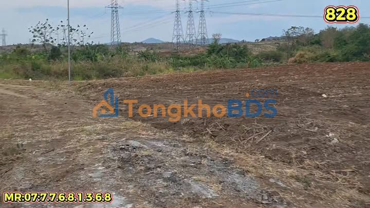 Đất rẫy Ia Le 1,8ha 1,8 tỷ - Sổ đỏ chính chủ sẵn thu hoạch