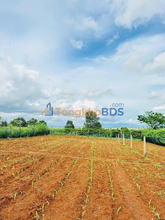 Đất nền Hẻm Bùi Viện An Phú 175m² thỏa thuận - Thổ cư 100%