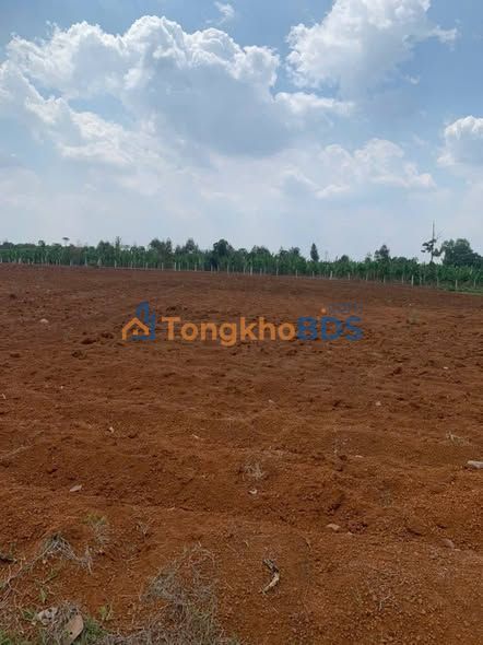 Bán Gấp Đất Mặt Tiền Bàu Cạn, Long Thành 1277m² - Giá 4.7 Tỷ