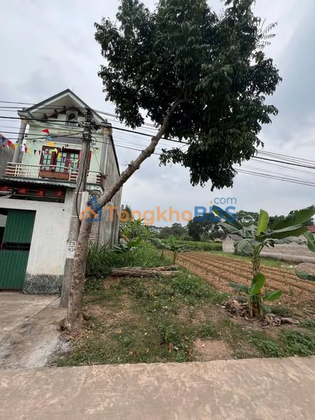 Đất nền Lạng Giang 150m² 1 tỷ - Đường to ô tô kinh doanh