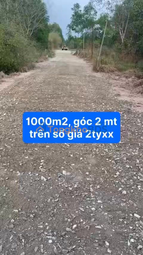 Đất Vĩnh Thanh 1000m² - Góc 2 Mặt Tiền, Sổ Hồng Riêng, Giá 2 Tỷ