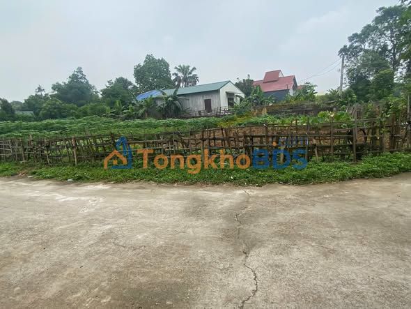 Bán đất thổ cư 100m² Khu 4 Thanh Đình, Việt Trì - Sổ đỏ sẵn sàng, giá 1.5 tỷ