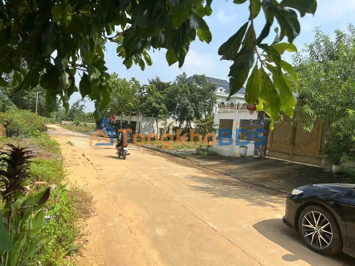 Đất nền Lê Chân Yên Bái 312m² 3 tỷ - Tiềm năng tăng giá