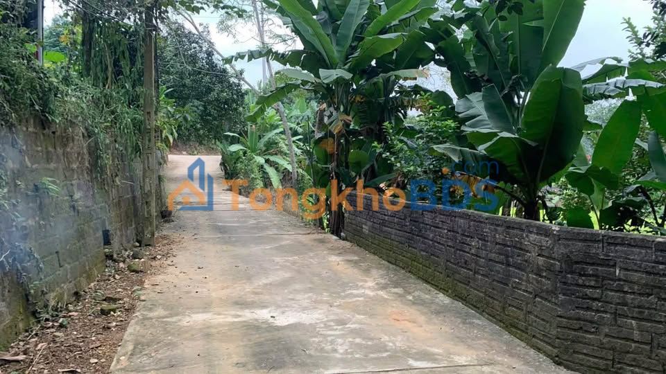 Đất vườn Nghĩa Lộ 5000m² giá 3 tỷ - Sinh thái xanh