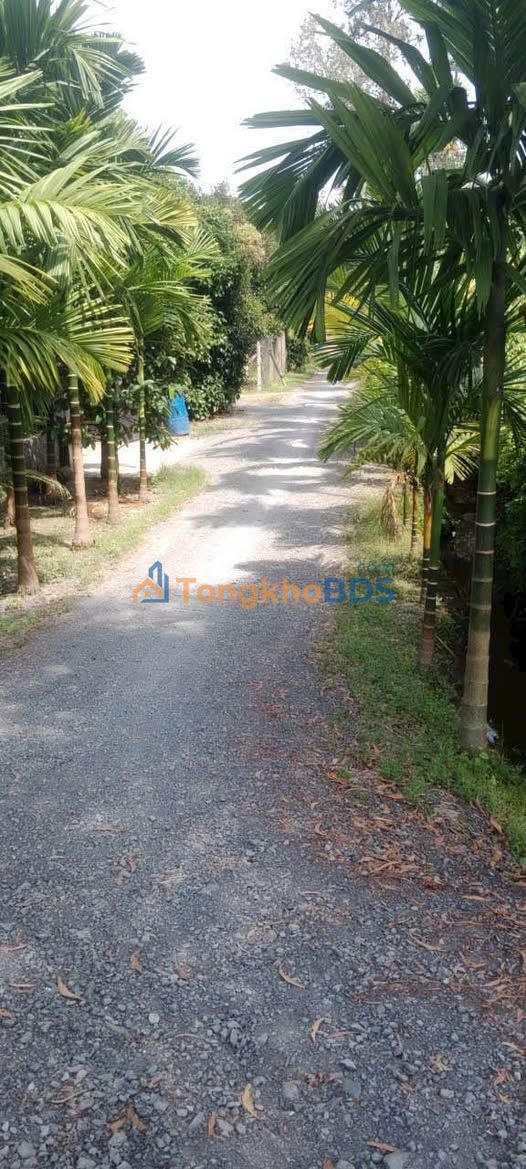 Đất Vườn An Sơn Bình Dương 738m² - Giá 8 Tỷ Có Nhà