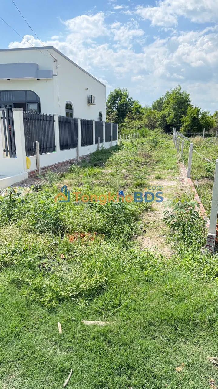 Đất nền Gò Dầu Tây Ninh 200m² 500 triệu - Sổ đỏ chính chủ