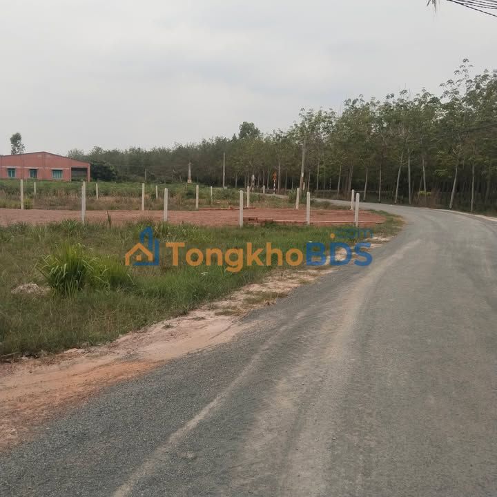 Đất nông trại Thạnh Bình Tân Biên 740m² 170 triệu - Đầu tư dài hạn