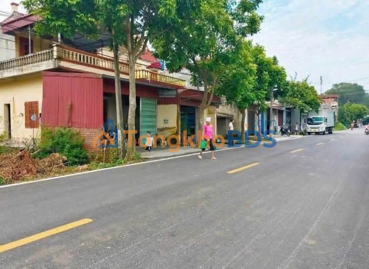 Đất nền Tiền Hải Thái Bình 100m² - Đường to ô tô