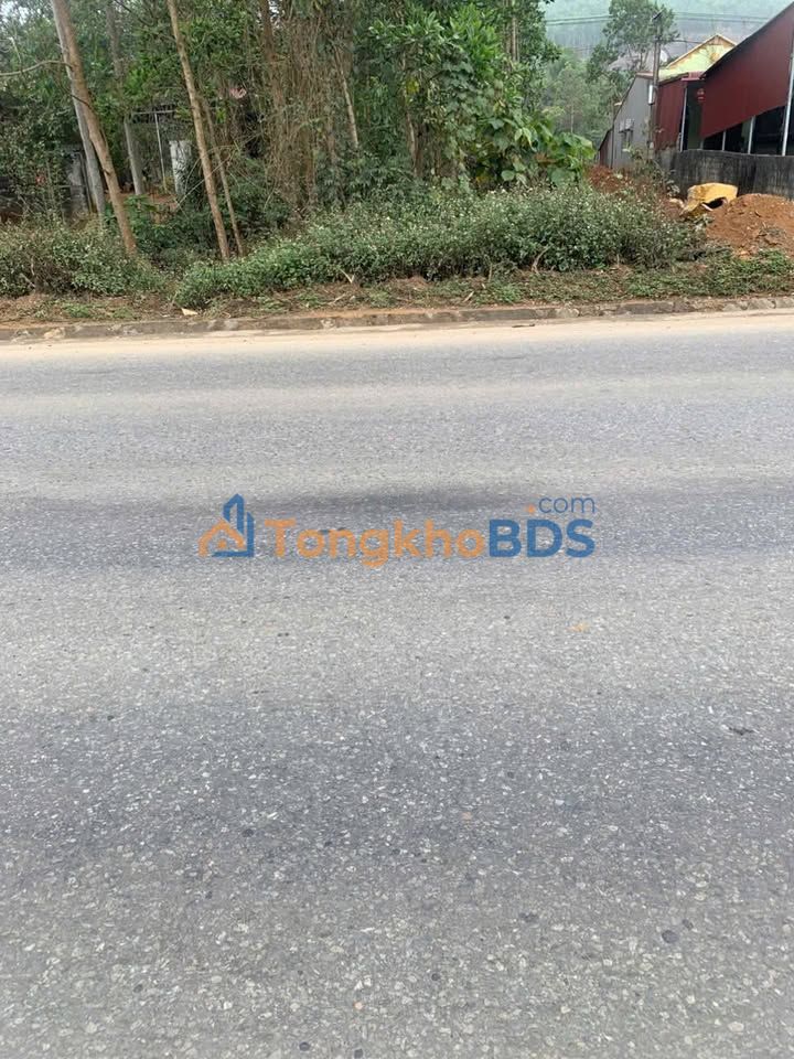 Đất nền Ngọc Lặc Thanh Hoá 310m² giá 600 triệu - Đường to ô tô