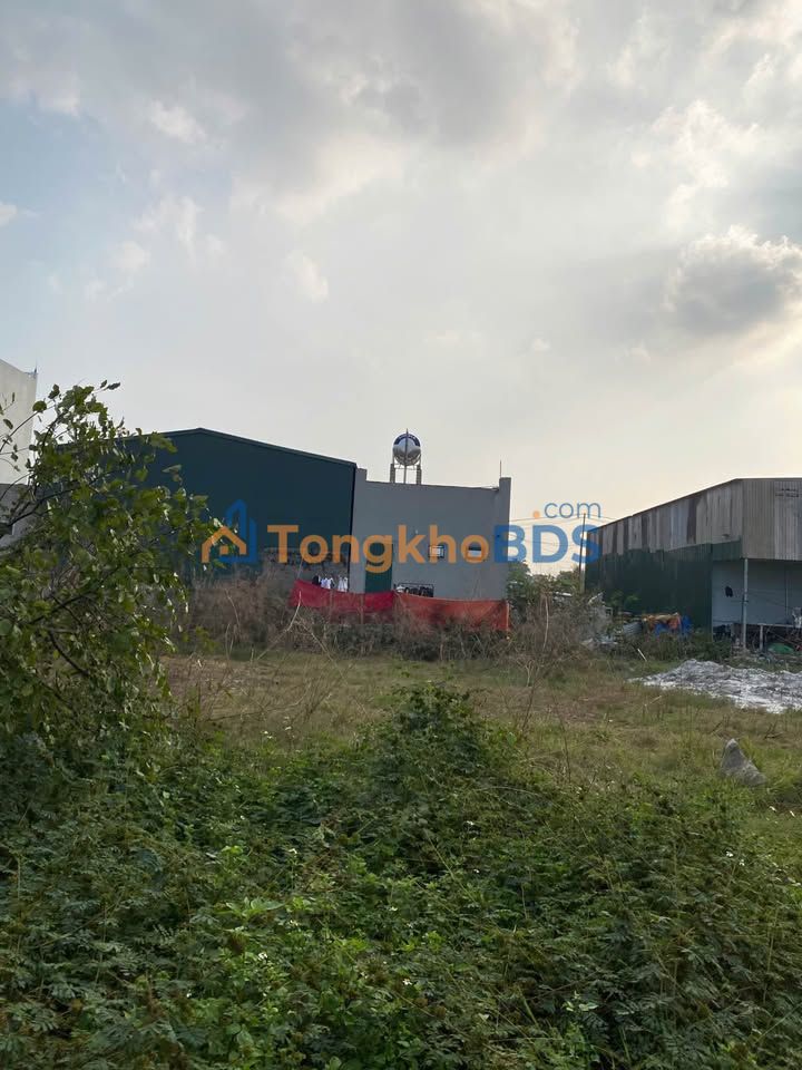 Đất nền Đông Yên Thanh Hóa 100m² 1.5 tỷ - Đường ô tô rộng