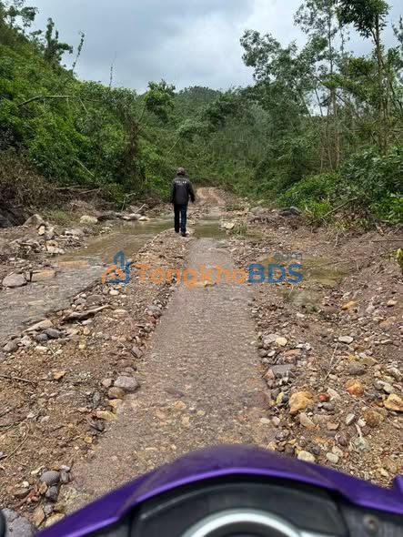 Đất rừng Phước Thành 6ha 600 triệu - Đầu tư dài hạn