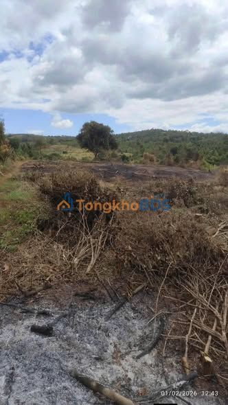 Đất nền Ea Sin Krông Búk 1,6ha 2 tỷ - Sổ đỏ chính chủ